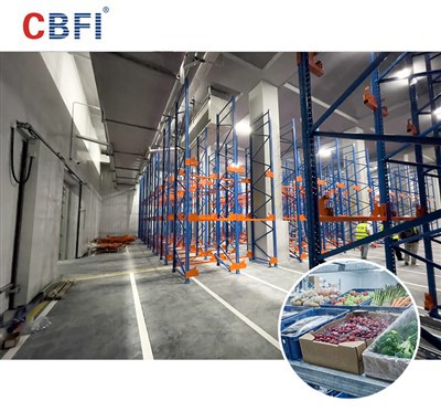 Proveïdor de solucions CBFI One-Stop Cold Chain que potencia l'actualització de la logística de la cadena de fred de productes frescos a gran-escala